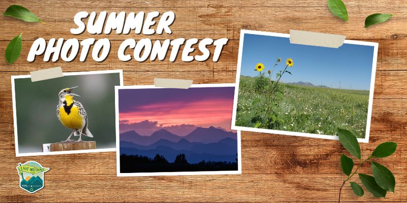 SummerPhotoContest